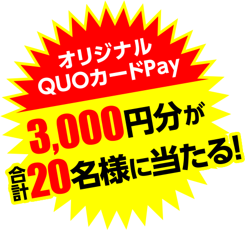 オリジナルQUOカードPay3,000円分が合計20名様に当たる！