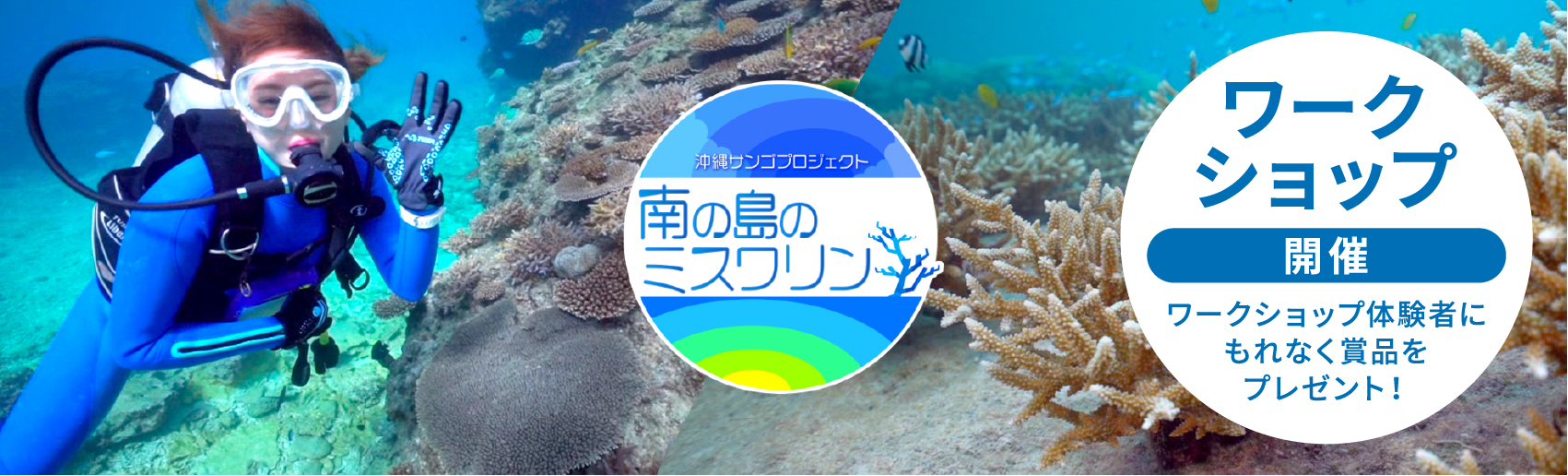 沖縄サンゴ保全プロジェクト