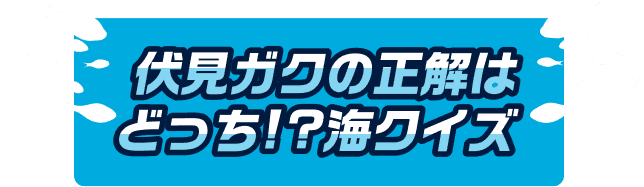 伏見ガクの正解はどっち!?海クイズ