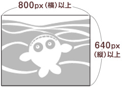 800px(横)×640px(縦)以上