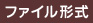 ファイル形式