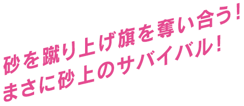 砂を蹴り上げ旗を奪い合う！まさに砂上のサバイバル！