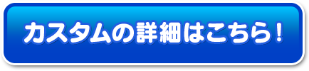 カスタムの詳細はこちら