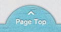 Page Top