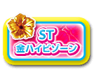 ST 金ハイビゾーン