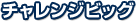 `WrbO
